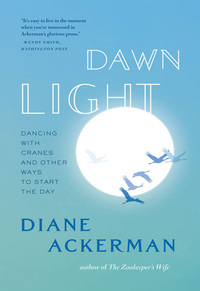 Imagen de portada: Dawn Light: Dancing with Cranes and Other Ways to Start the Day 9780393338751