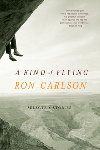 Titelbild: A Kind of Flying: Selected Stories 9780393324792