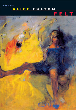 Cover image: Felt 9780393322361