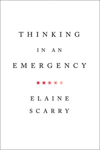 Cover image: Thinking in an Emergency (Norton Global Ethics Series) 9780393340587