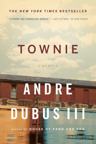 Cover image: Townie 9780393340679