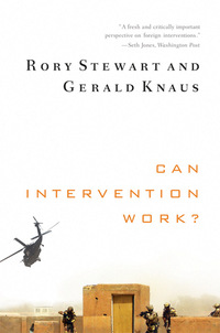 Omslagafbeelding: Can Intervention Work? (Norton Global Ethics Series) 9780393342246