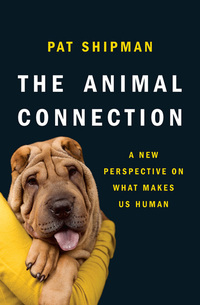 Omslagafbeelding: The Animal Connection: A New Perspective on What Makes Us Human 9780393070545