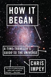 Cover image: How It Began: A Time-Traveler's Guide to the Universe 9780393343861
