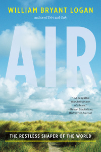 Cover image: Air: The Restless Shaper of the World 9780393345391