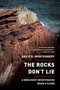 Omslagafbeelding: The Rocks Don't Lie: A Geologist Investigates Noah's Flood 9780393346244