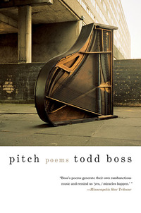Titelbild: Pitch: Poems 9780393345520