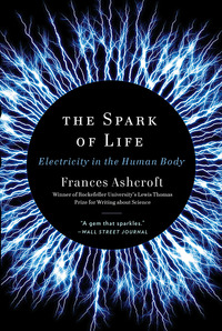 Imagen de portada: The Spark of Life: Electricity in the Human Body 9780393346794