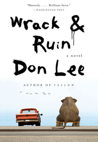 Cover image: Wrack and Ruin: A Novel 9780393062328