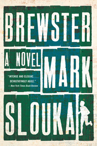 Cover image: Brewster: A Novel 9780393348835