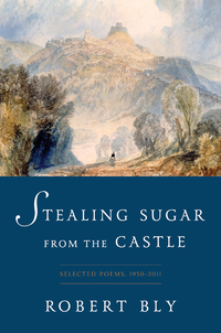 Cover image: Stealing Sugar from the Castle: Selected and New Poems, 1950--2013 9780393352481