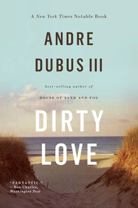 Cover image: Dirty Love 9780393348910