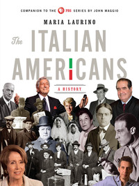 Omslagafbeelding: The Italian Americans: A History 9780393241297