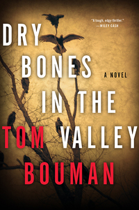 表紙画像: Dry Bones in the Valley: A Henry Farrell Novel (The Henry Farrell Series) 9780393350784