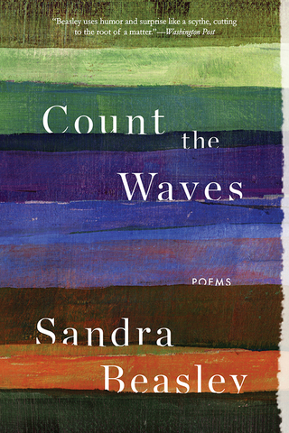 Imagen de portada: Count the Waves 9780393353211