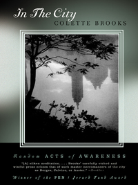 Cover image: In the City: Random Acts of Awareness 9780393324419