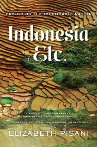 表紙画像: Indonesia, Etc.: Exploring the Improbable Nation 9780393351279