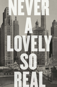 Cover image: Never a Lovely So Real: The Life and Work of Nelson Algren 9780393357899