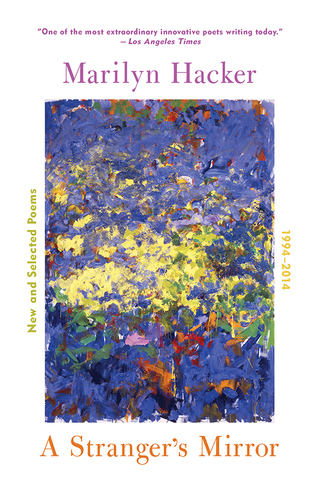 Cover image: A Stranger's Mirror 9780393353310