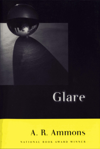 Imagen de portada: Glare 9780393317794
