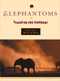 Cover image: Elephantoms: Tracking the Elephant 9780393324594