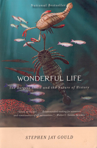 Immagine di copertina: Wonderful Life: The Burgess Shale and the Nature of History 9780393307009