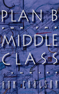 Cover image: Plan B for the Middle Class: Stories 9780393331820
