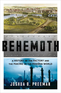 Titelbild: Behemoth: A History of the Factory and the Making of the Modern World 9780393356625