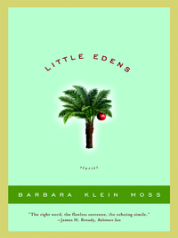 Cover image: Little Edens: Stories 9780393326369
