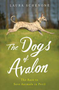 Omslagafbeelding: The Dogs of Avalon: The Race to Save Animals in Peril 9780393073584