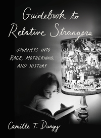 Imagen de portada: Guidebook to Relative Strangers: Journeys into Race, Motherhood, and History 9780393356083