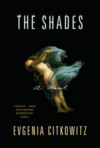 Cover image: The Shades 9780393357585