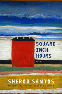 Immagine di copertina: Square Inch Hours: Poems 9780393356670