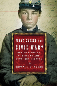 Titelbild: What Caused the Civil War?: Reflections on the South and Southern History 9780393328530