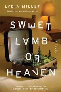 Omslagafbeelding: Sweet Lamb of Heaven: A Novel 9780393354188