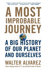 Omslagafbeelding: A Most Improbable Journey: A Big History of Our Planet and Ourselves 9780393355192