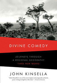 Omslagafbeelding: Divine Comedy: Journeys Through a Regional Geography: Three New Works 9780393338294