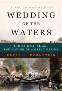 Immagine di copertina: Wedding of the Waters: The Erie Canal and the Making of a Great Nation 9780393327953