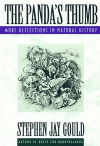 Omslagafbeelding: The Panda's Thumb: More Reflections in Natural History 9780393308198