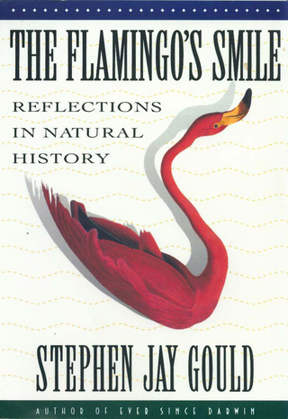 صورة الغلاف: The Flamingo's Smile: Reflections in Natural History 9780393303759