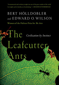 Immagine di copertina: The Leafcutter Ants: Civilization by Instinct 9780393338683