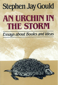 Omslagafbeelding: An Urchin in the Storm: Essays about Books and Ideas 9780393305371