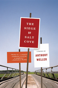 表紙画像: The Siege of Salt Cove: A Novel 9780393327083
