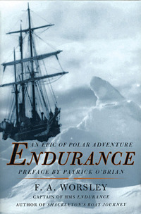 Omslagafbeelding: Endurance: An Epic of Polar Adventure 9780393319941