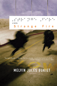 Omslagafbeelding: Strange Fire: A Novel 9780393323597