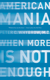 Cover image: American Mania: When More is Not Enough 9780393328493
