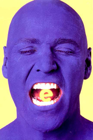 Imagen de portada: Ecstasy 9780393315813