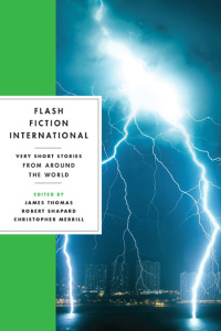 Omslagafbeelding: Flash Fiction International: Very Short Stories from Around the World 9780393346077