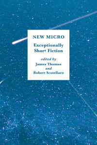 Omslagafbeelding: New Micro: Exceptionally Short Fiction 9780393354706