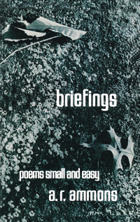 Cover image: Briefings: Poems Small and Easy 9780393043266